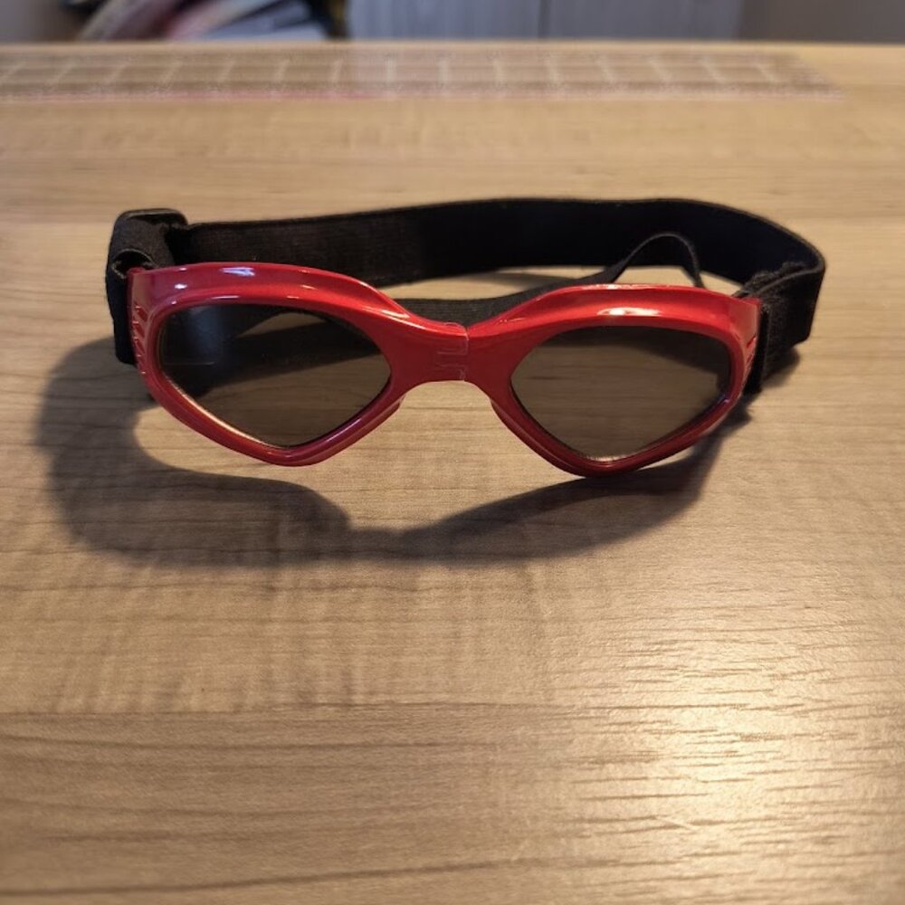 dog sunglasses